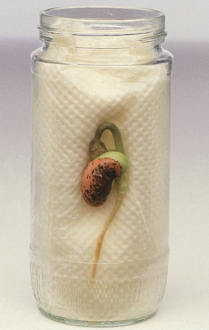 13 барвистих експериментів і розваг, якими можна зайняти дітей