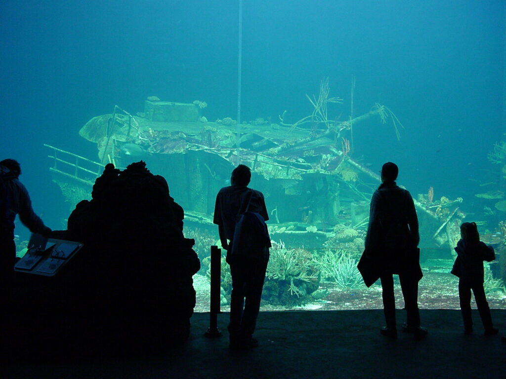 ᐈ 14 найбільших акваріумів у світі - великі акваріуми - самі великі 2024