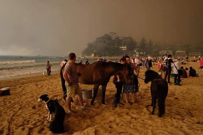 58 фото, які показують, як виглядає Австралія зараз