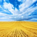 Найцікавіші факти про Україну або чого ви могли не знати про нашу Неньку