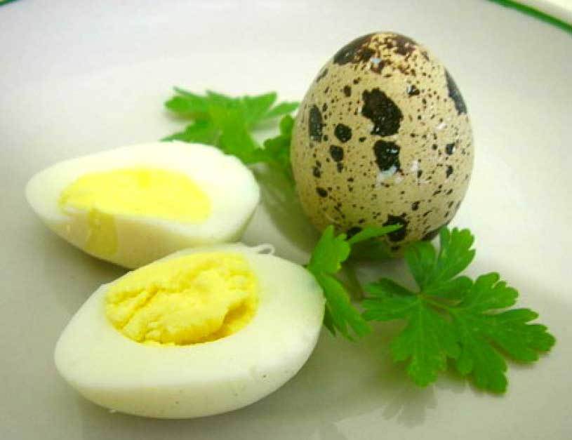 Перепелині яйця - Як варити перепелині яйця?