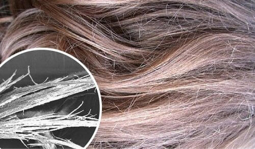 Волосся - Як відновити пошкоджене волосся?
