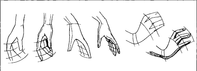 Як намалювати руки - малюємо руки жіночі і чоловічі, а також кисть руки