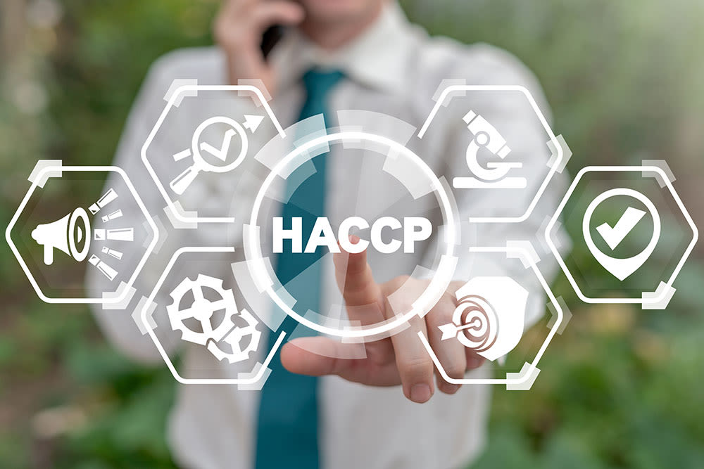 Знищення бліх, мишей та впровадження системи HACCP: наскільки це важливо для підприємства